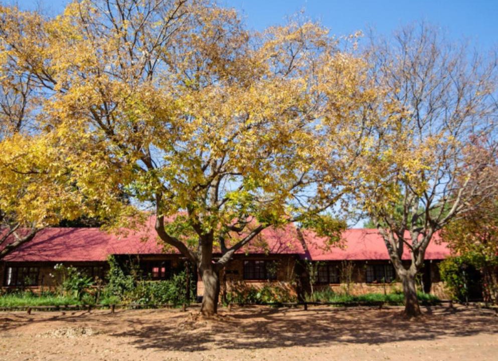 Photo of Others in Dullstroom