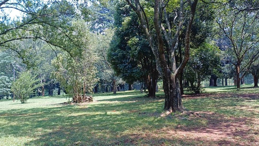 Photo of Outdoor in Sabie