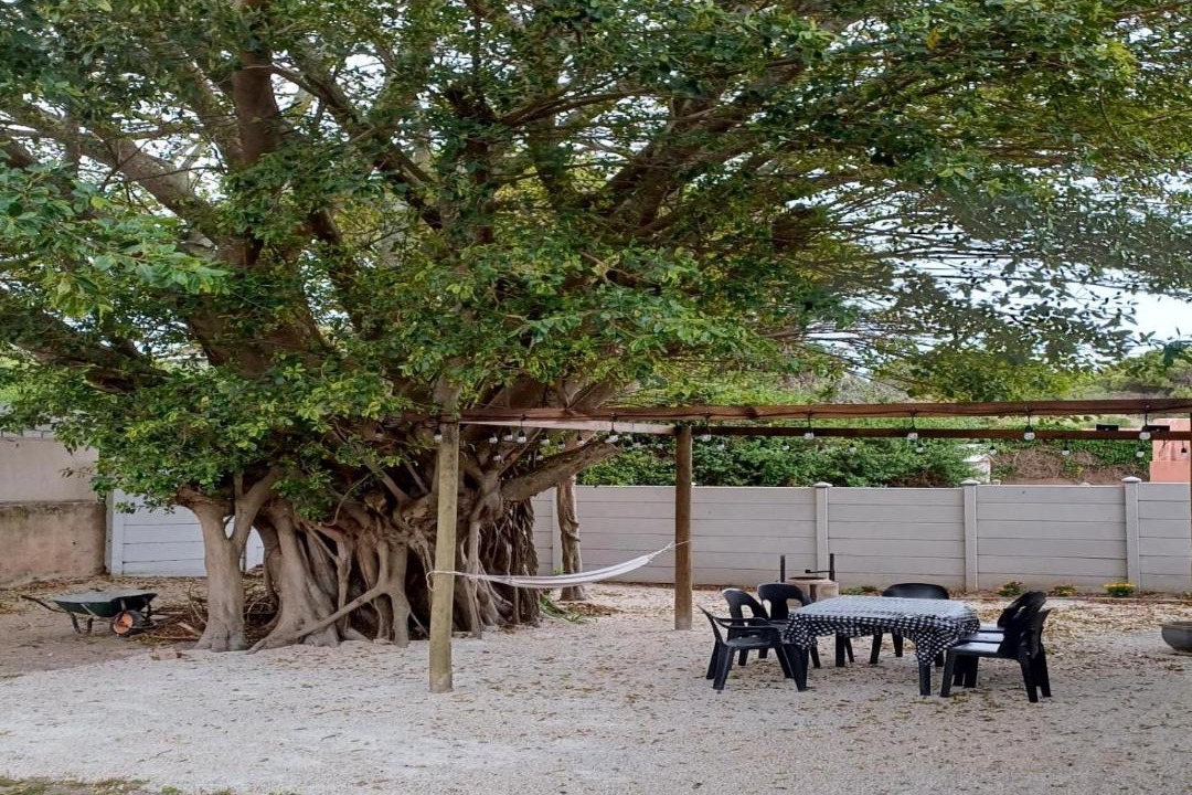 Photo of Others in Paradise Beach