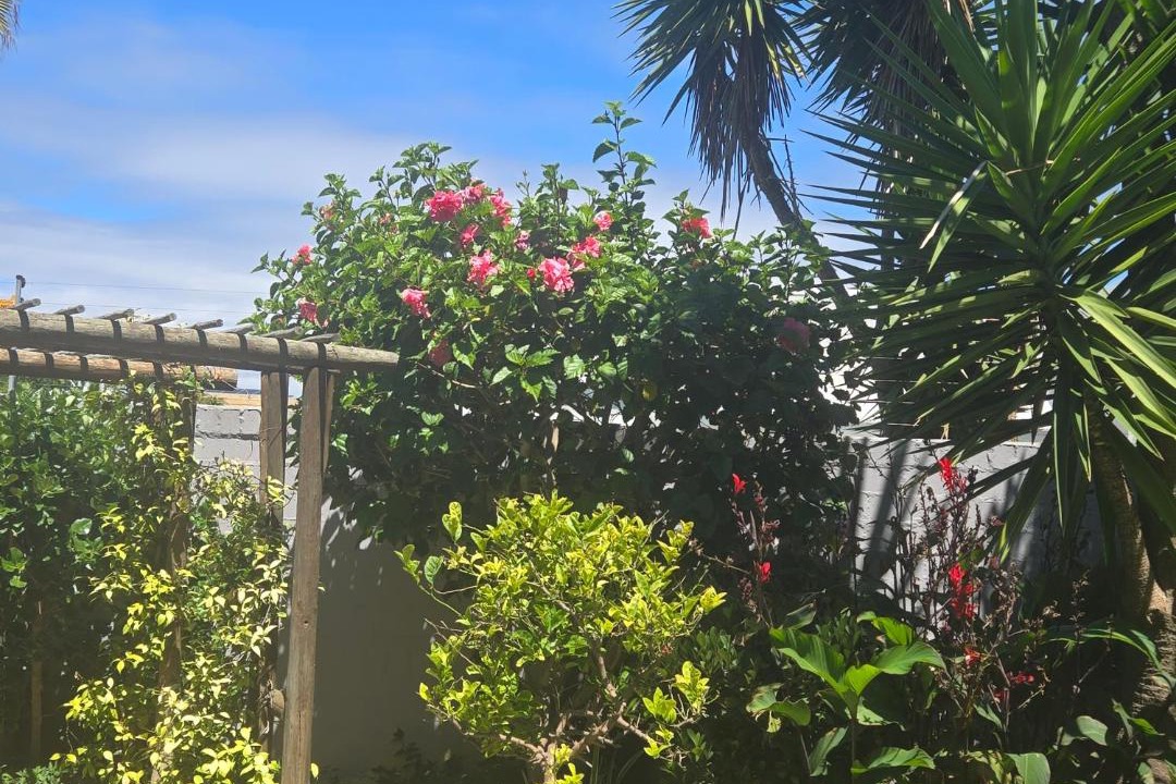 Photo of Others in Sunset Beach