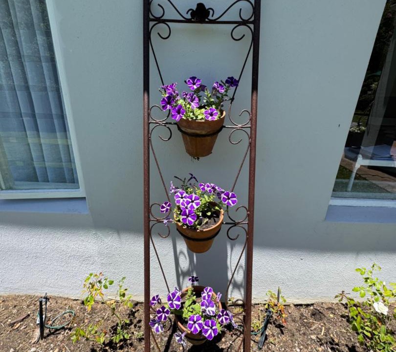 Photo of Patio Balcony in Constantia