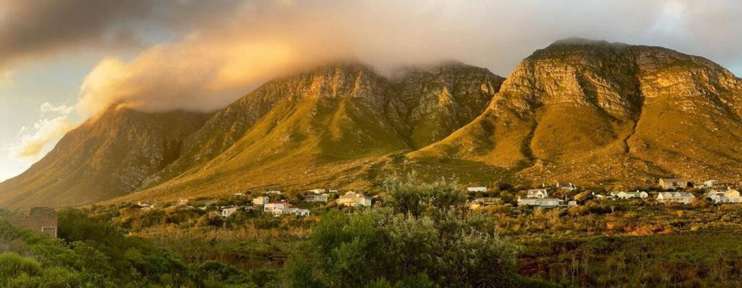 Photo of Others in Betty's Bay