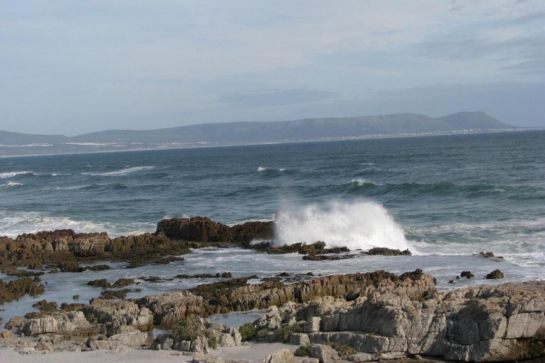 Photo of Others in Betty's Bay