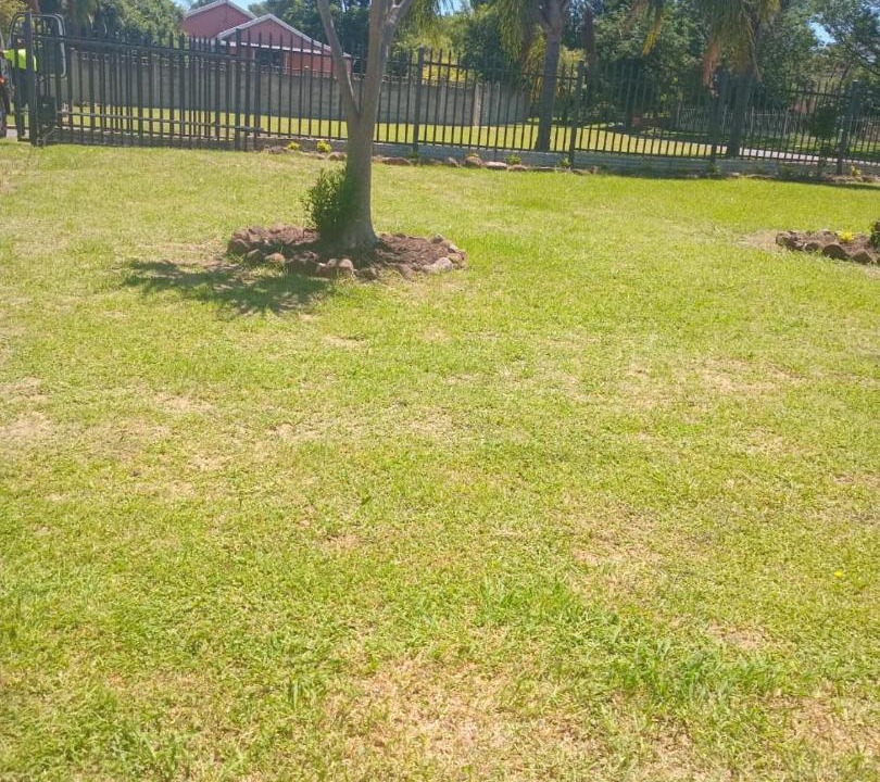 Photo of Outdoor in Ladysmith
