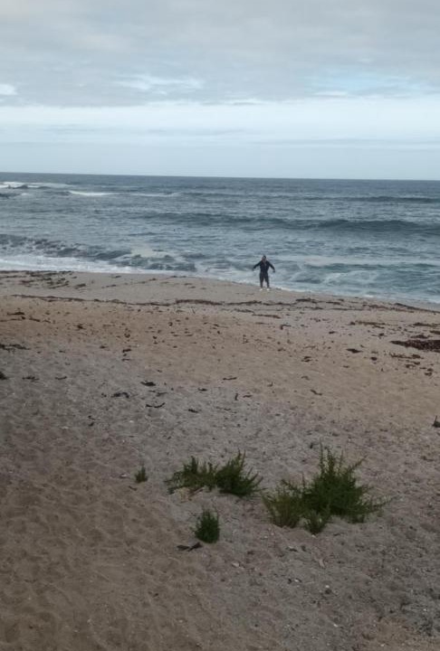 Photo of Others in Lambert's Bay