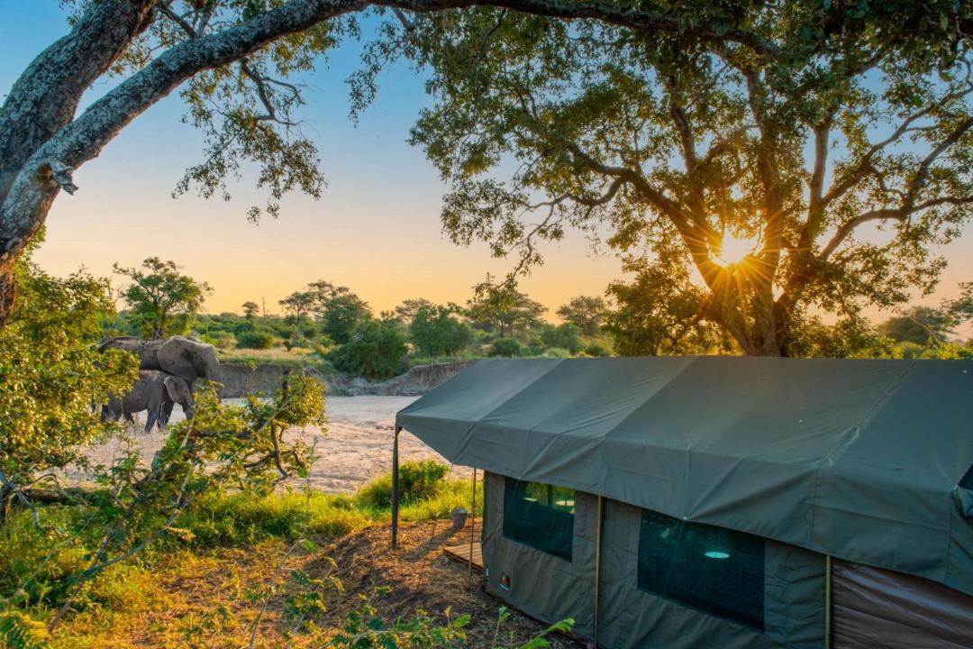 Photo of Others in Kruger National Park