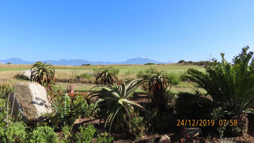 Photo of Others in Herolds Bay