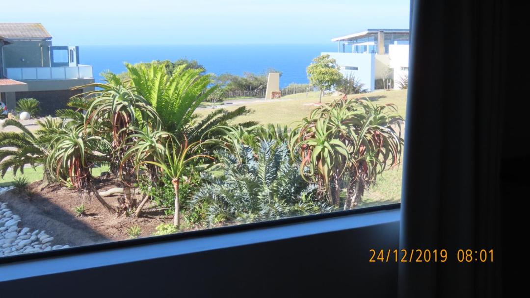 Photo of Others in Herolds Bay