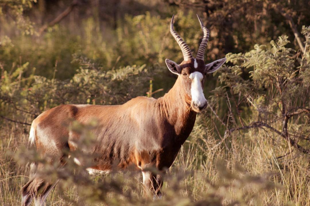 Photo of Others in Polokwane