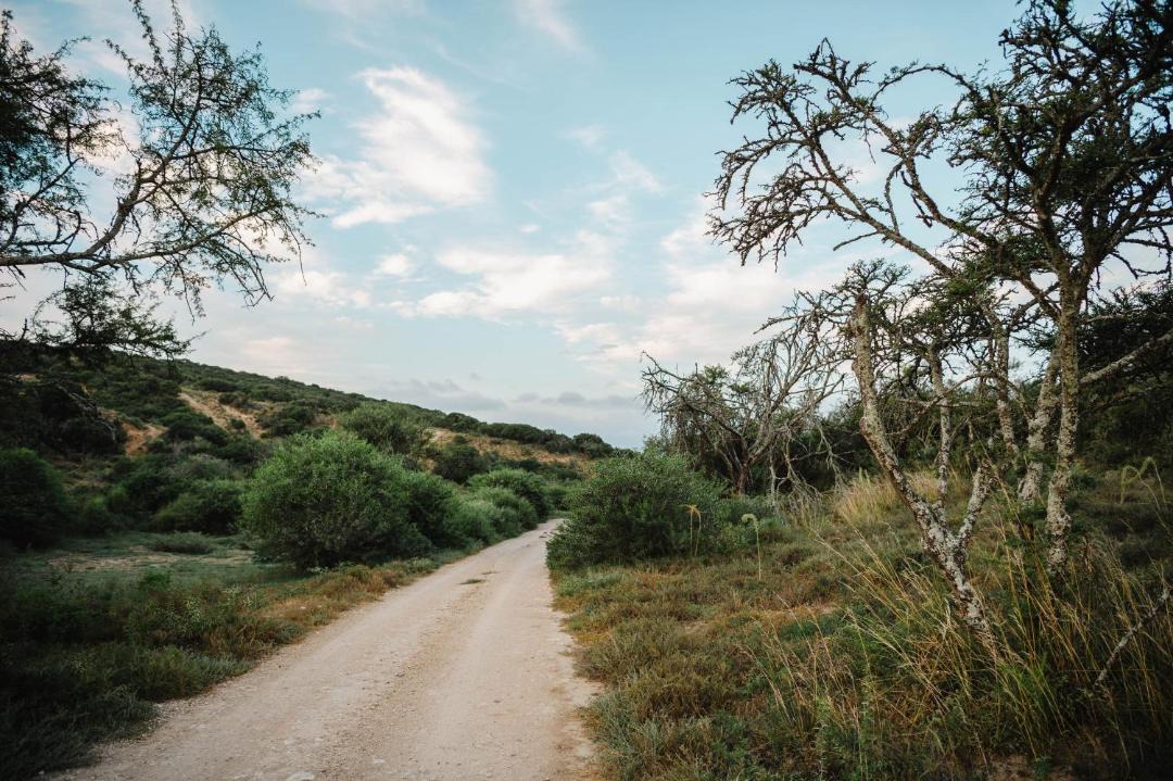Photo of Others in Addo