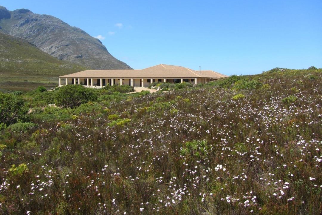 Photo of Others in Pringle Bay