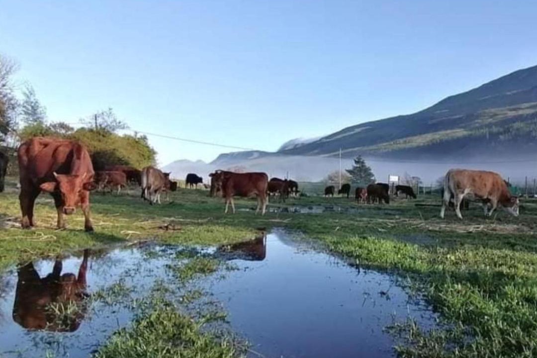 Photo of Others in Barrydale