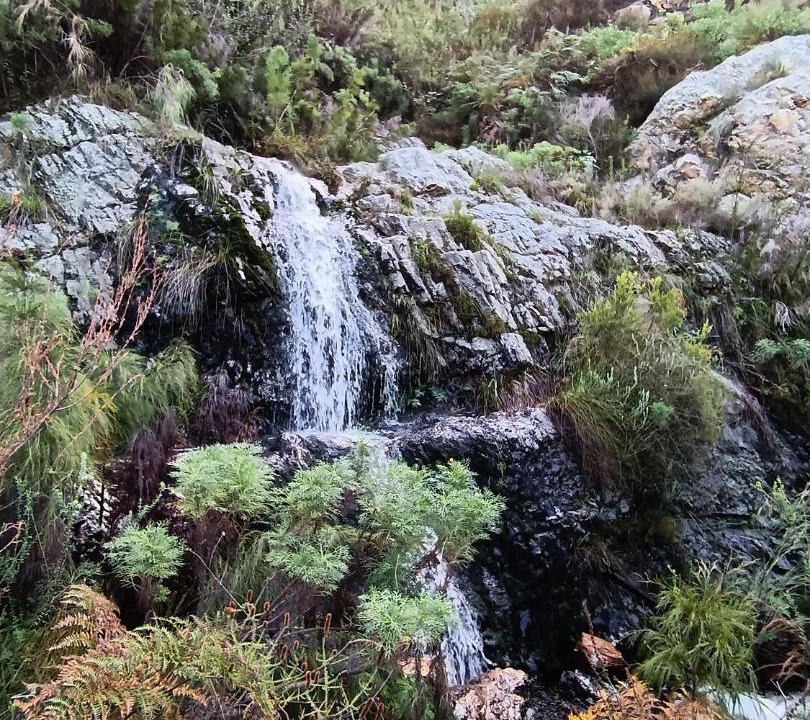 Photo of Others in Greyton
