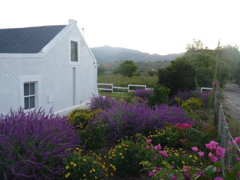 Photo of Others in Calitzdorp