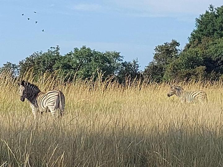 Photo of Others in Vaalwater
