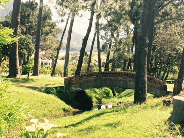Photo of Others in Rondebosch