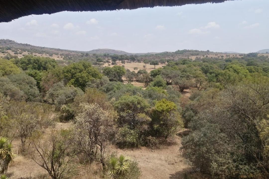 Photo of Others in Broederstroom