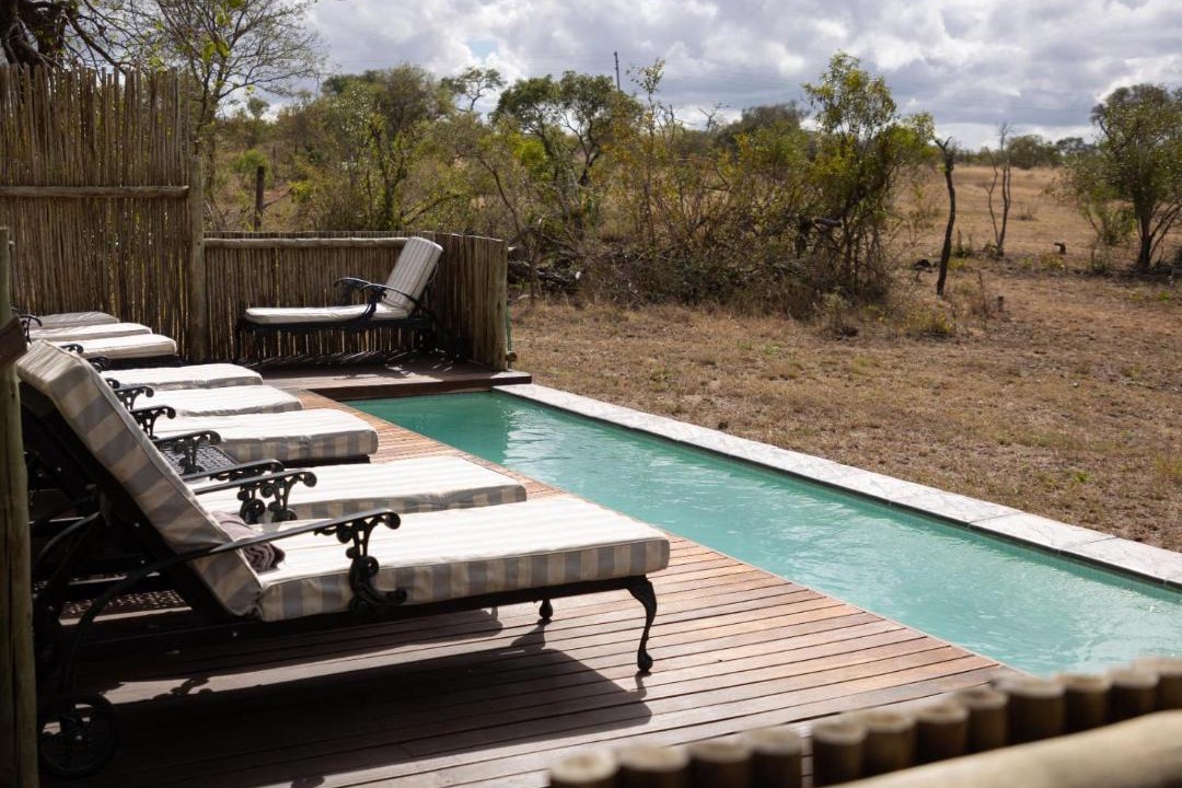 Photo of Others in Thorny Bush Game Reserve