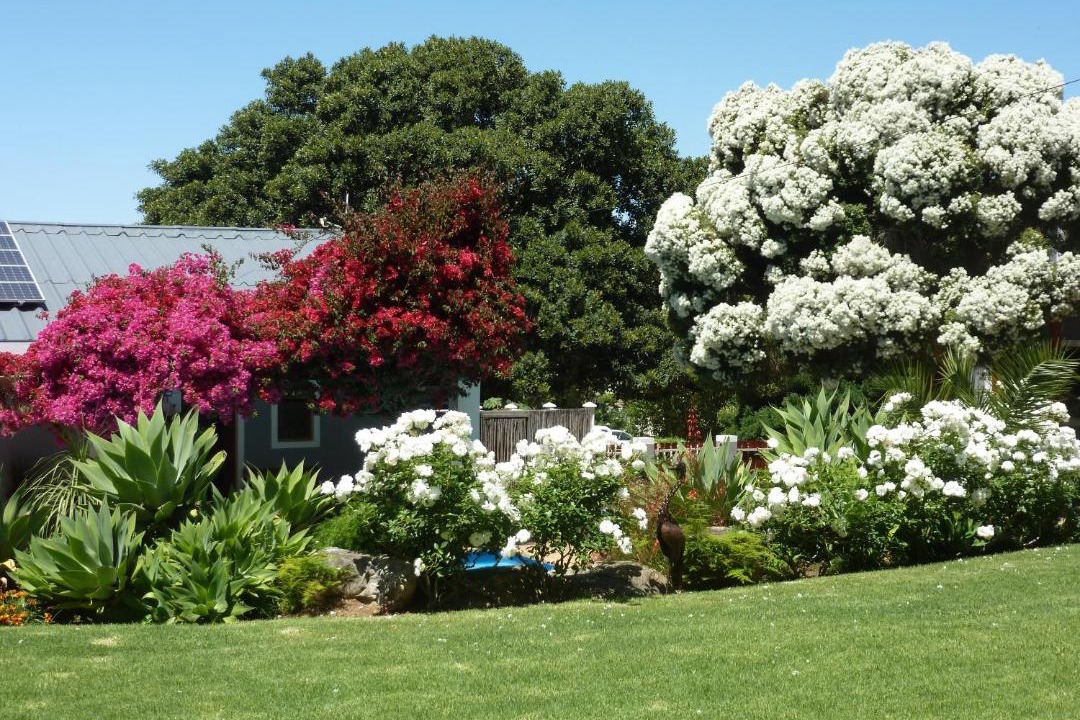 Photo of Others in Swellendam