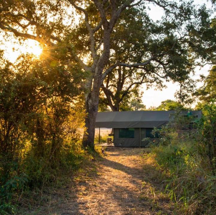 Photo of Others in Kruger National Park