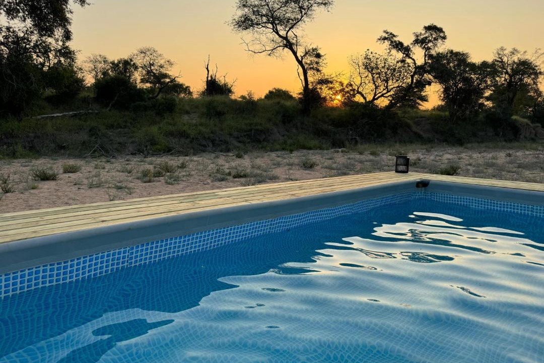 Photo of Others in Kruger National Park