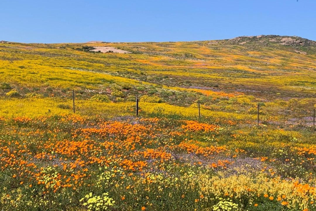 Photo of Others in Kamiesberg