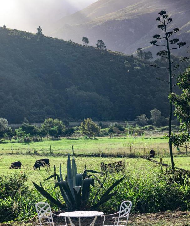 Photo of Others in Swellendam
