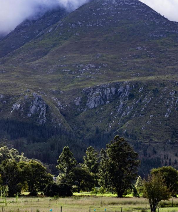 Photo of Others in Swellendam