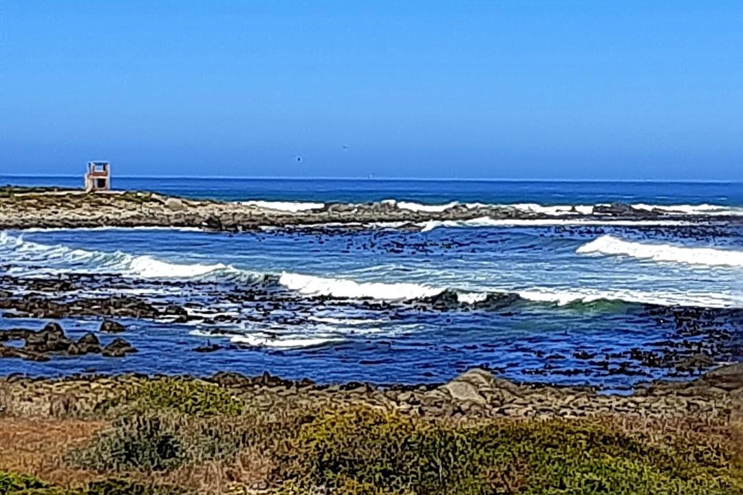 Photo of Others in Jacobs Bay