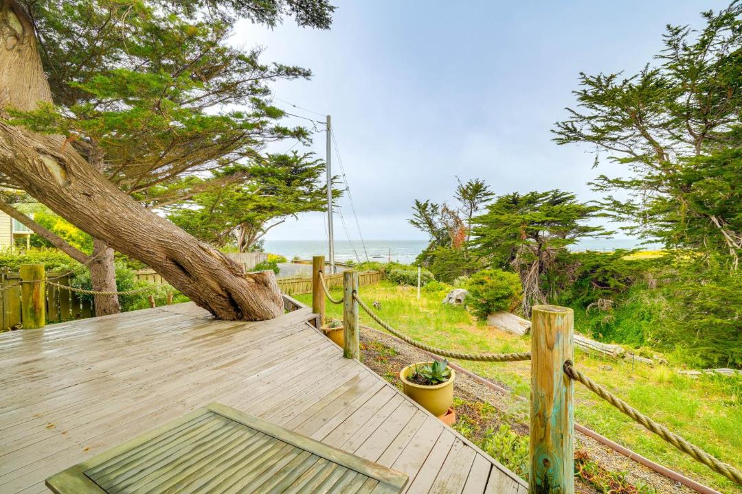 Photo of Others in Moss Beach