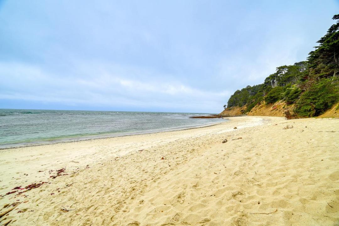 Photo of Others in Moss Beach