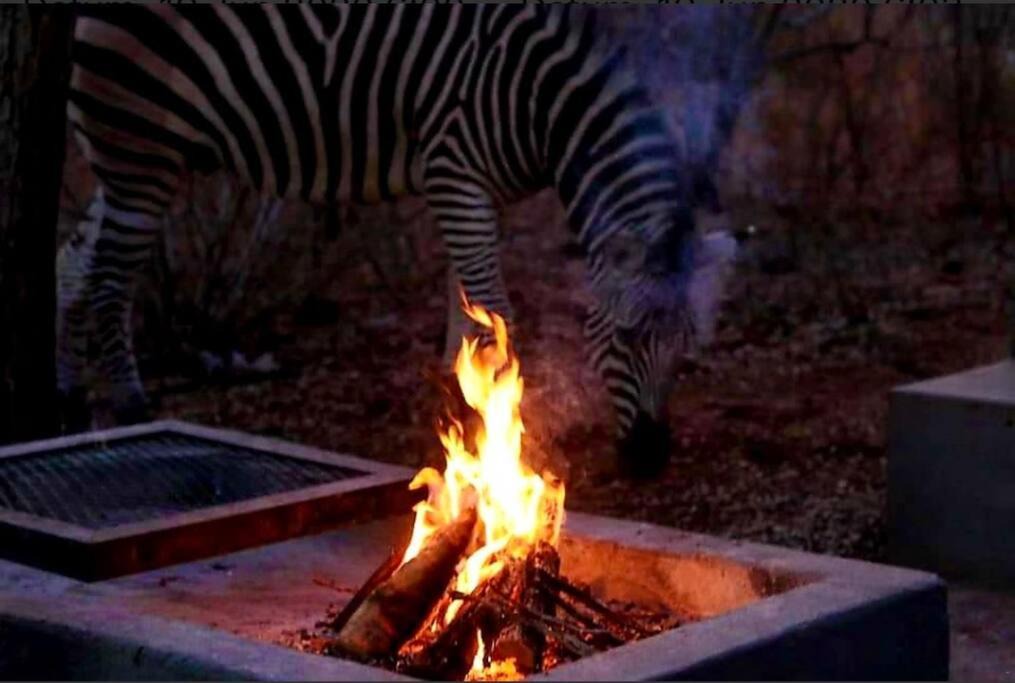 Photo of Others in Marloth Park