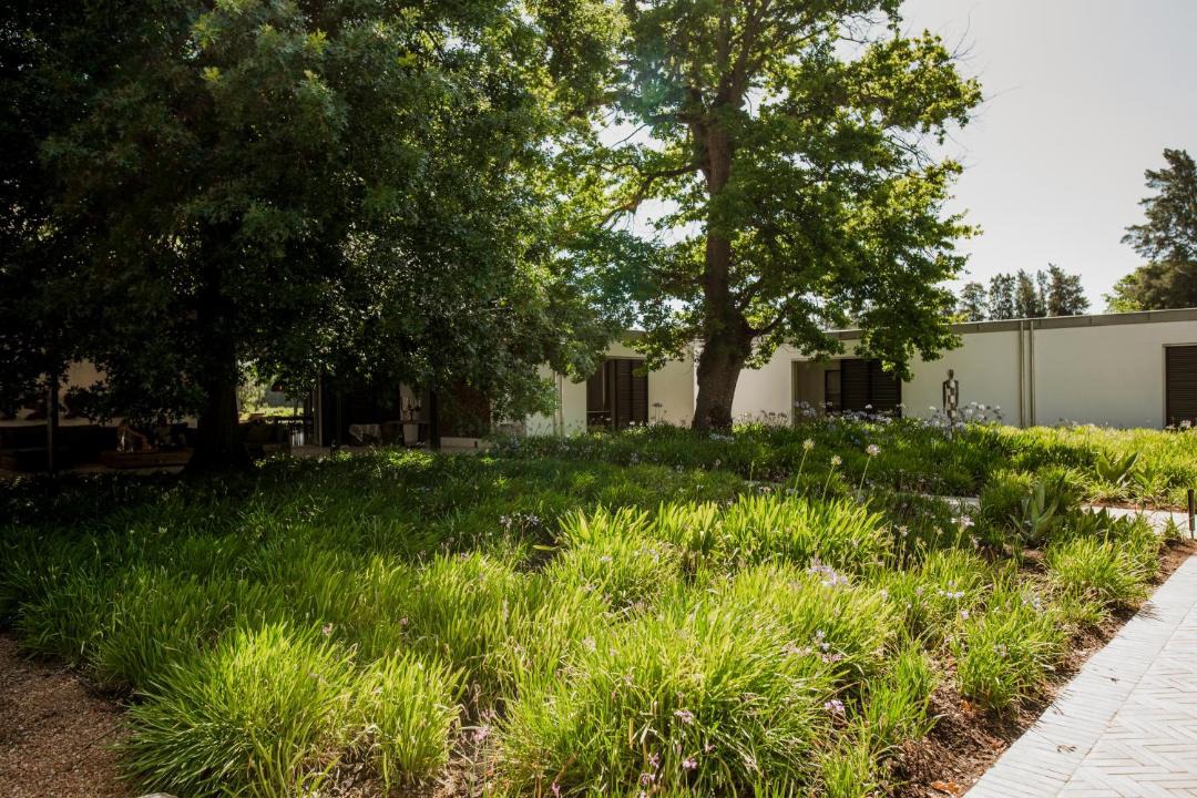 Photo of Others in Franschhoek
