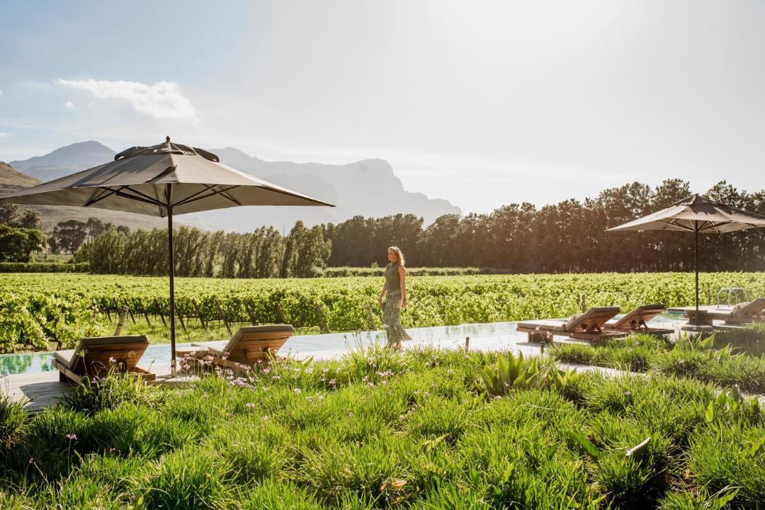 Photo of Others in Franschhoek