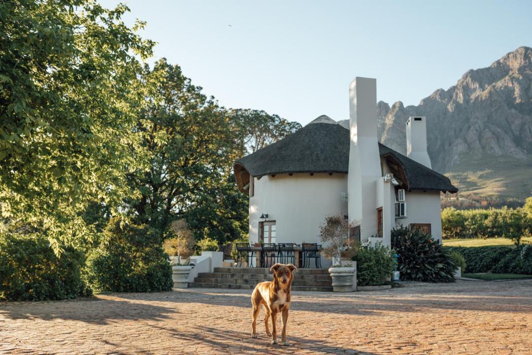 Photo of Others in Tulbagh