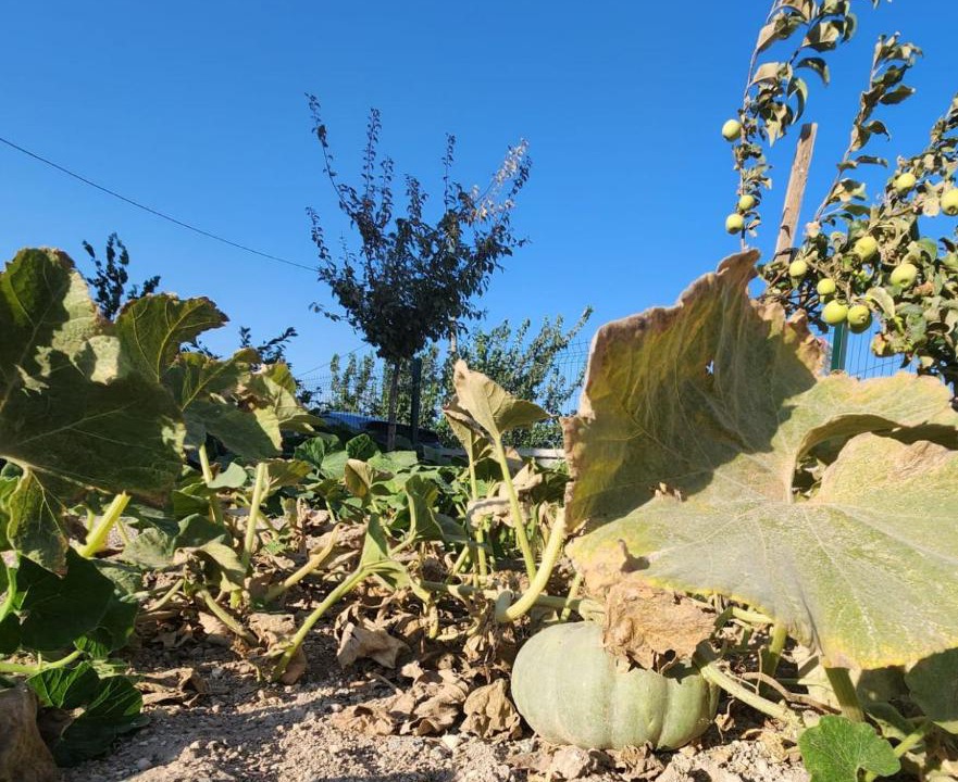 Photo of Outdoor in Altıeylul