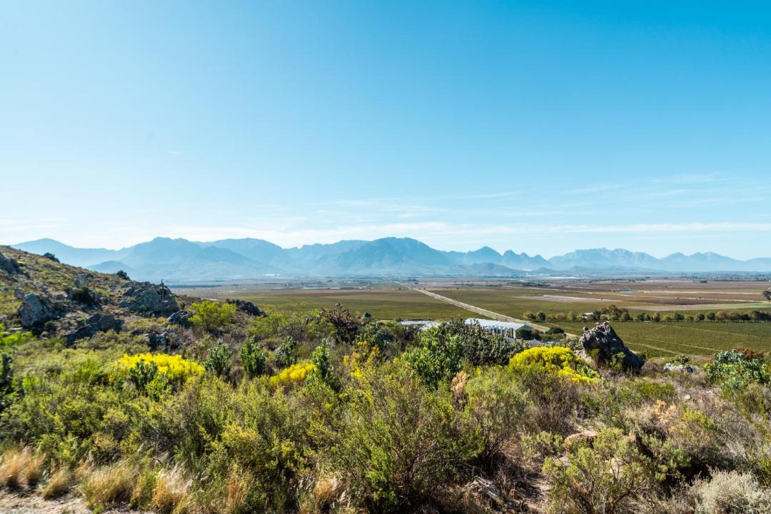 Photo of Others in Slanghoek