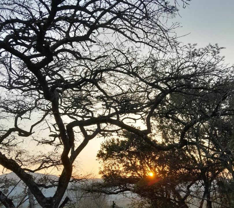 Photo of Others in Graskop
