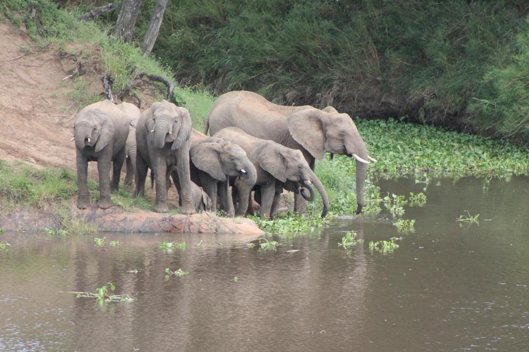 Photo of Others in Malelane
