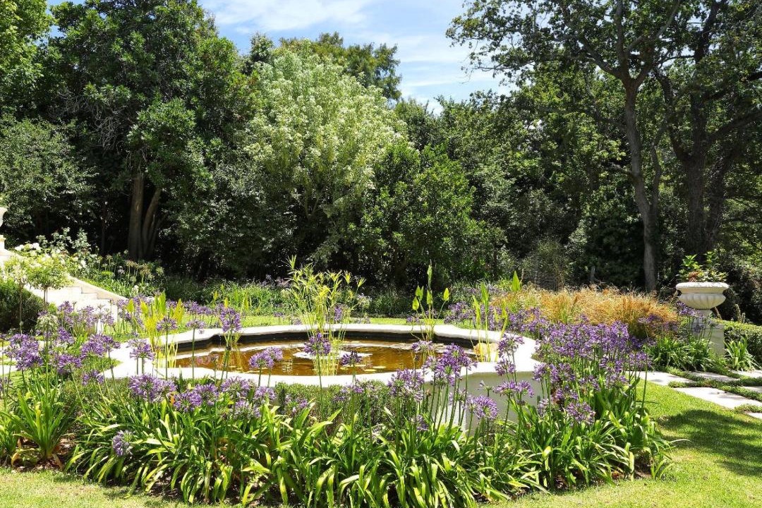 Photo of Others in Constantia