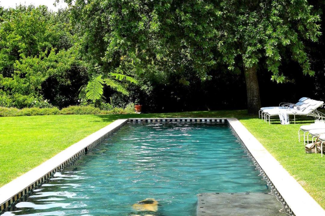 Photo of Others in Constantia