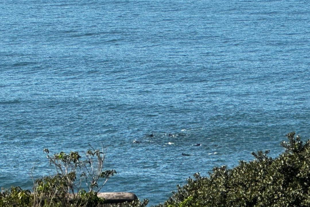 Photo of Others in Shaka's Rock