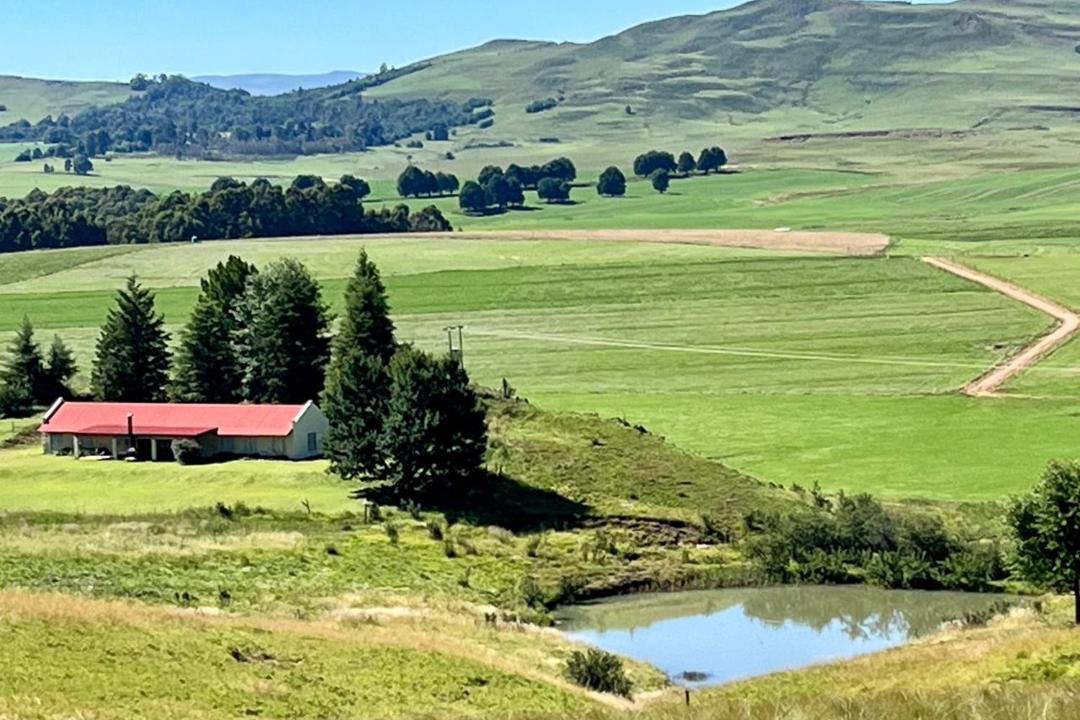Photo of Others in Drakensberg Gardens