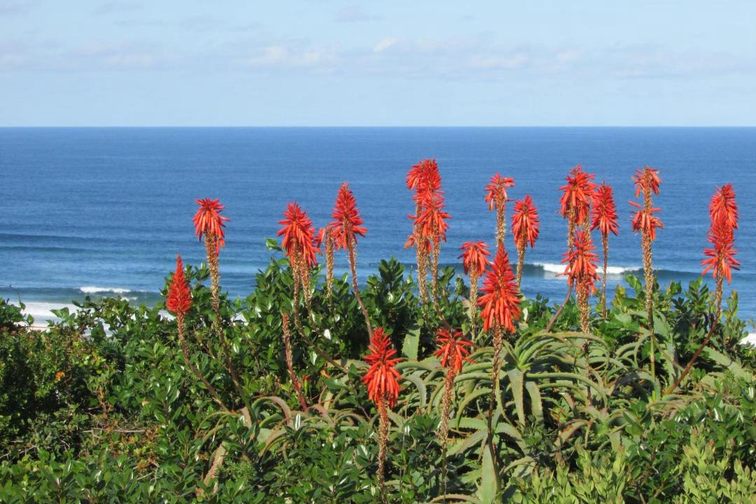 Photo of Others in Outeniqua Strand