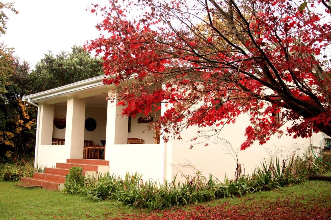 Photo of Buildings in Hogsback