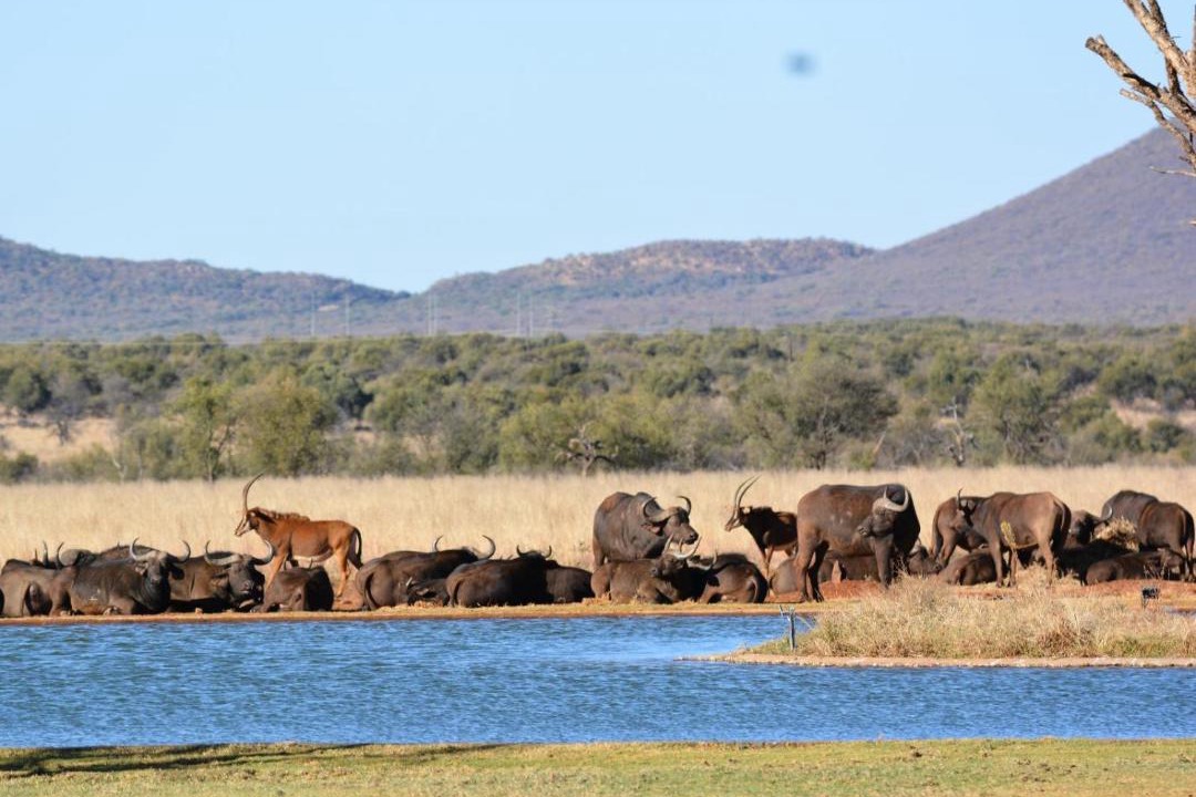 Photo of Others in Kgetlengrivier
