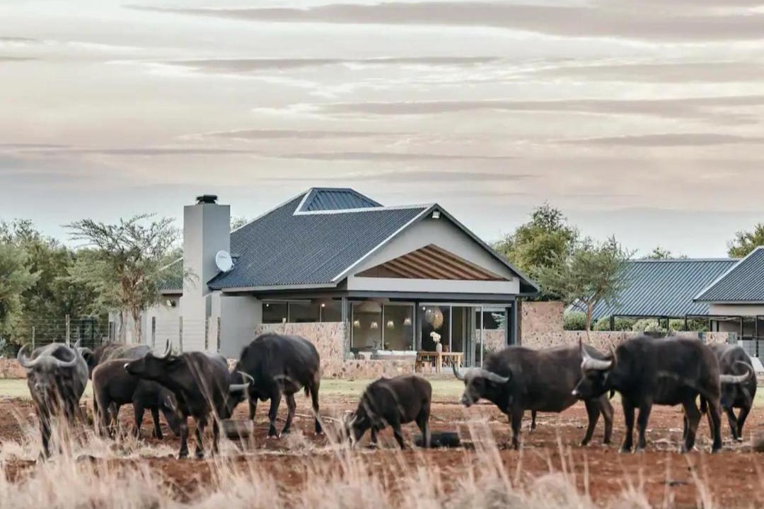 Photo of Others in Kgetlengrivier