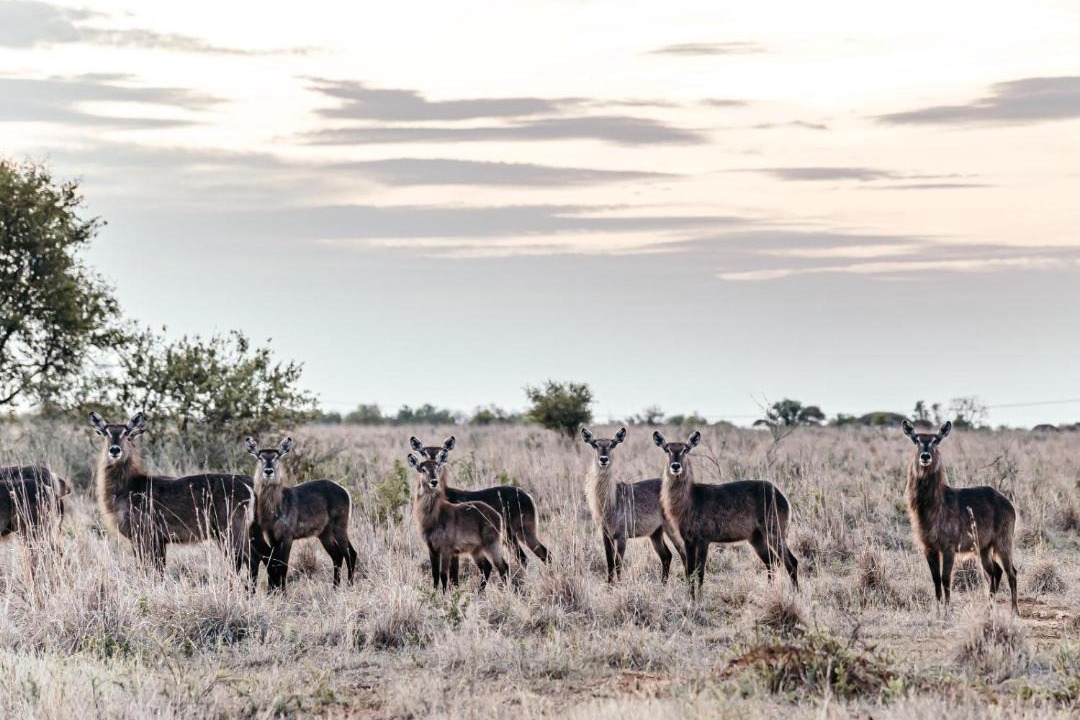 Photo of Others in Kgetlengrivier