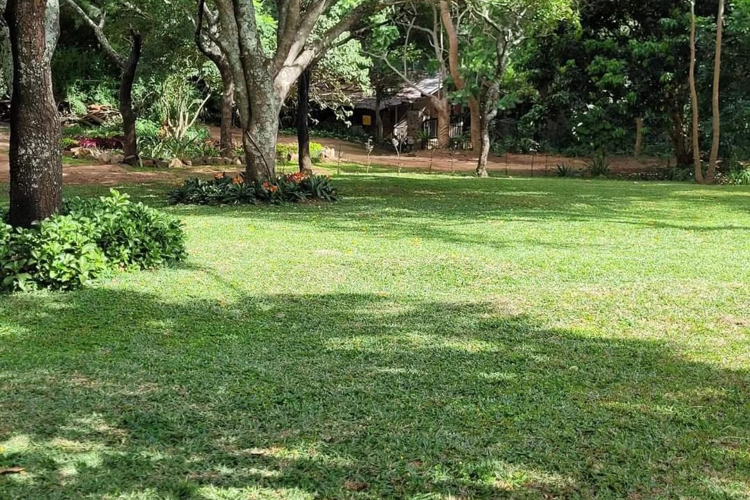 Photo of Outdoor in Kampersrus