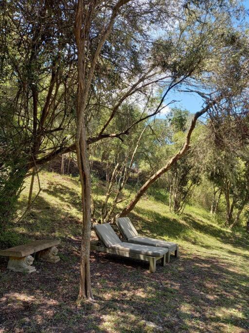 Photo of Outdoor in Buffalo Hills Game Reserve